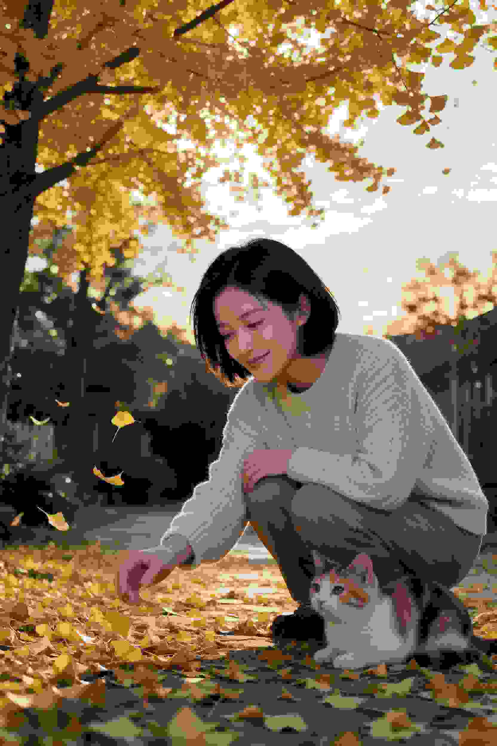 漫剧
